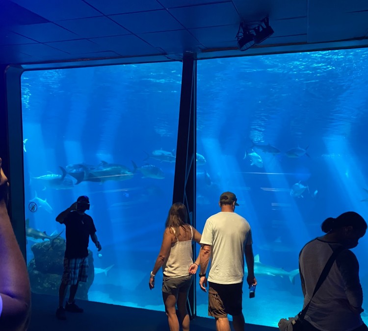 Maui Ocean Center, The Aquarium of Hawaii (Wailuku,&nbspHI)